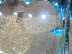 -渔码头食府(蓬莱阁店)