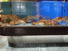 -阿伟海鲜楼·福建菜(延寿店)