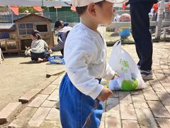 -菊园百果园