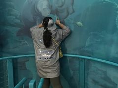 -悉尼海洋生物水族馆