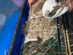 -苏格里岛自助海鲜烤肉(青秀万达店)