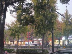 -一记洛阳菜·糖醋小排·水席(十字街店)