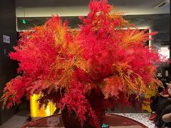 -北京全聚德(王府井店)