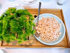 清炒河虾仁-松鹤楼·非遗·苏帮菜(融科店)