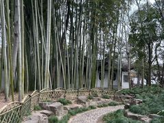 -秋霞圃