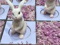 -中福百货(望京店)