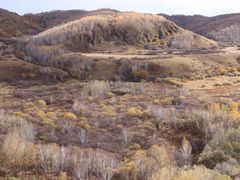 -塞罕坝国家级自然保护区