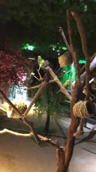 -酷嗒动物文化乐园(cutezoo西溪乐天城店)