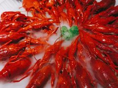-红盔甲·小龙虾(天钥桥店)
