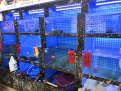 -鑫鸿达·海鲜闽菜热炒小馆(中山路店)