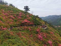 -木兰云雾山