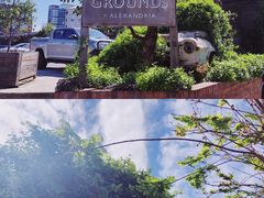 -The Grounds of Alexandria