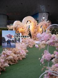 -迈瑞米求婚策划(静安店)