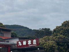 -九岭农庄·竹筒饭