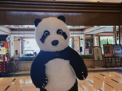 -三亚亚龙湾天域度假酒店