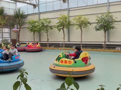 -南宫五洲植物乐园