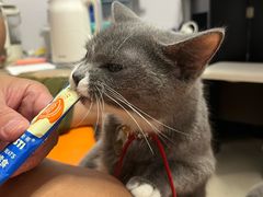 -博特宠物医院24h犬猫全科.骨科·异宠