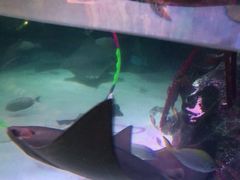 -沈阳海洋探索中心