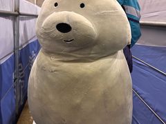 -绍兴启迪乔波冰雪世界