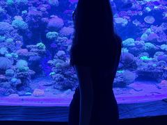 -太平洋海底世界