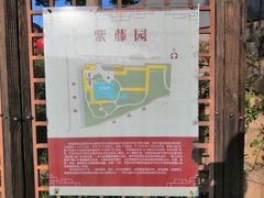 -嘉定紫藤园