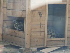 -青藏高原野生动物园