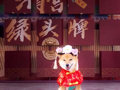 -横店影视城明清宫苑园区