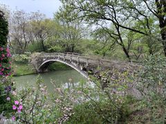 -何记酿皮店(西流湾店)