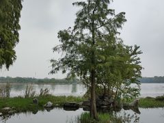 -东湖落雁景区