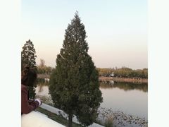 -素心小筑(后沙裕镇店)