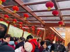 -秦岭天竺山生态文化旅游景区