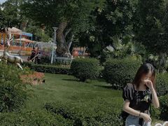 -金砂公园