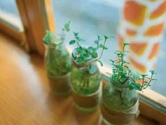 -长颈鹿咖啡(大学路店)