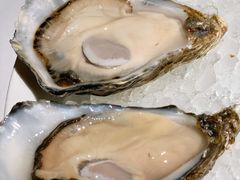 -Oyster Talks 四度蚝法餐厅