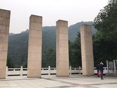 -铁山坪森林公园