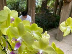 -南山植物园