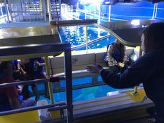 -迪拜水族馆及水下动物园