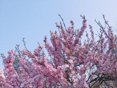 -白塘生态植物园