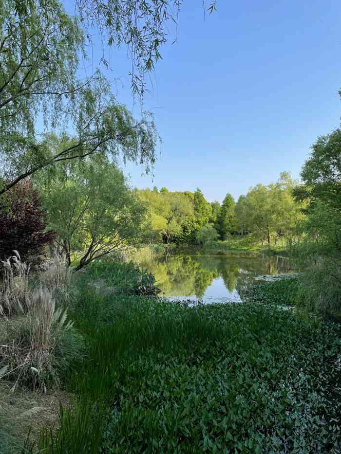 顾村公园-"占地面积很大,就是里面的东西不多,没啥吸.