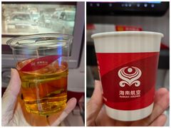 -海南海航航空信息系统公司