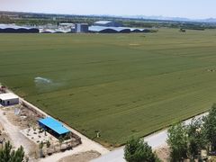 -兴芮温泉度假区