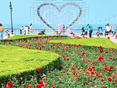 -大连海昌东方水城