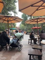 -翱翔飞越地平线