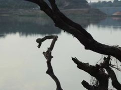 -鹤之洲湿地公园
