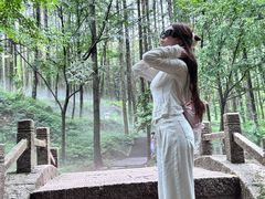 -洛阳白云山景区