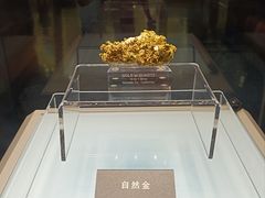 -安徽省地质博物馆