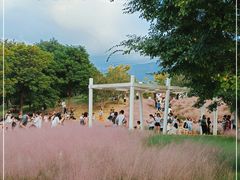 -牛岗山公园