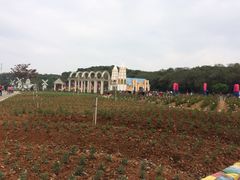-松山湖梦幻百花洲