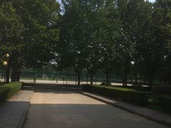 -南京理工大学紫金学院