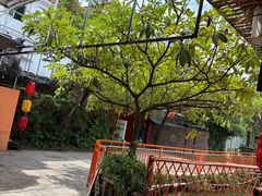 -陶缘一号·四季缘·老字号顺德菜·户外婚礼家宴(西滘店)